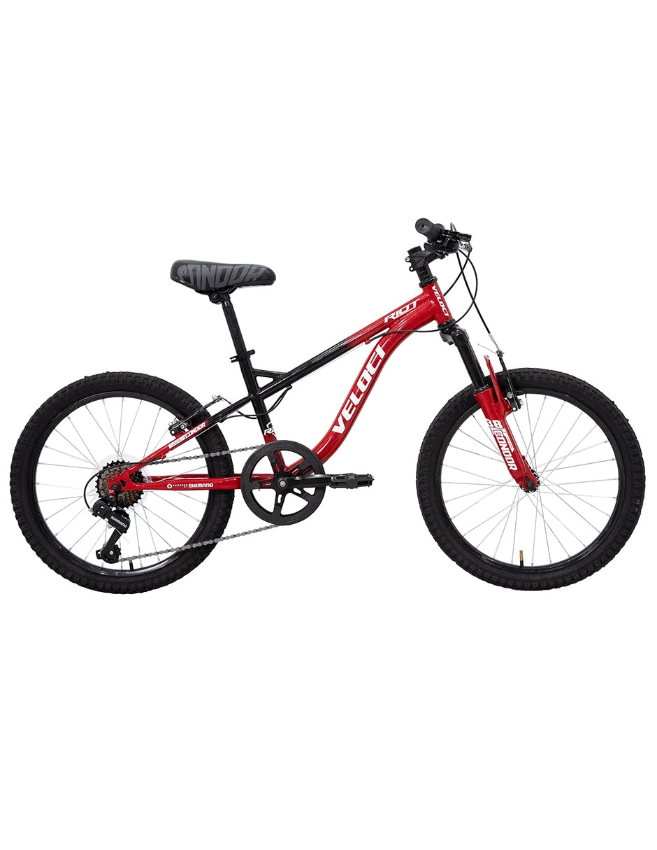 Bicicleta infantil rodada 20 Riot