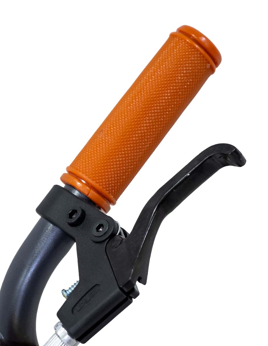 Bicicleta infantil rodada 16 Lithium 4